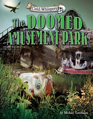 Cover of the book The Doomed Amusement Park by Joyce Markovics