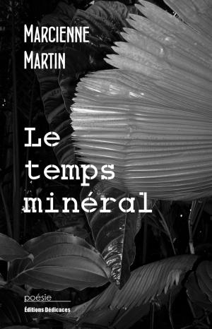 Cover of the book Le temps minéral by Imoh Son of David