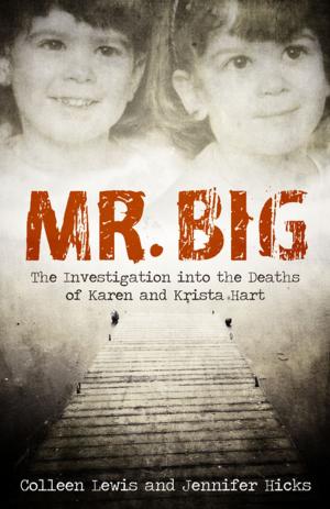 Cover of the book Mr. Big by Bill Rowe