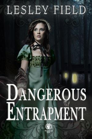Cover of the book Dangerous Entrapment by Chuck Bowie