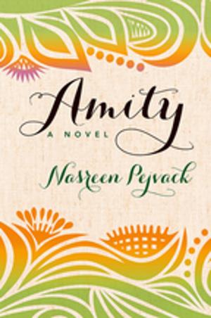 Cover of the book Amity by Leon Wing