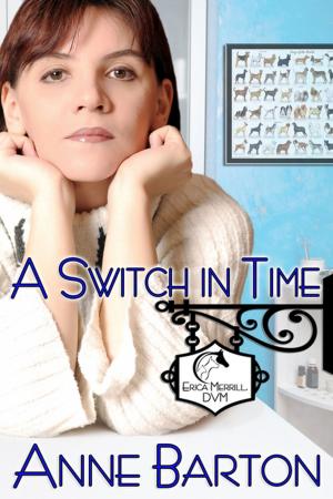 Cover of the book A Switch in Time by J.C. Kavanagh