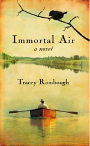 Cover of the book Immortal Air, A Novel by Heather Sparling, PhD