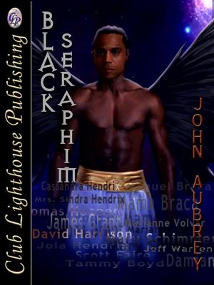 Cover of the book Black Seraphim by W. Richard St. James