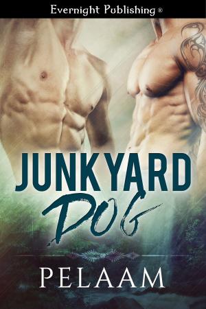 Cover of the book Junkyard Dog by Elizabeth Monvey