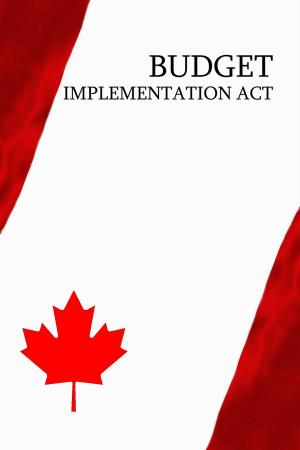 Cover of the book Budget Implementation Act by Siegfried Rudel
