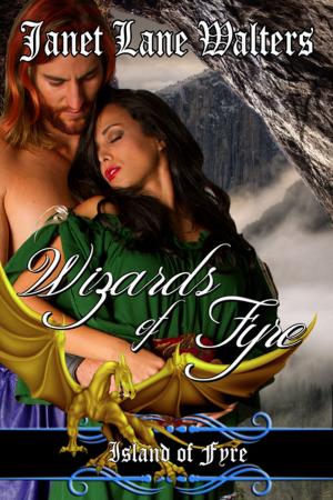 Cover of the book Wizards of Fyre by Janet Lane Walters
