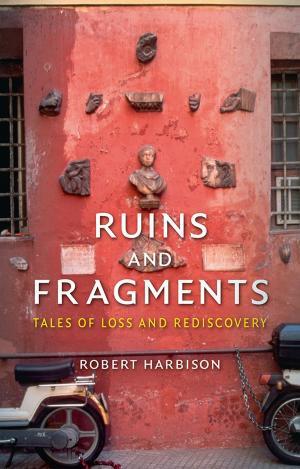 Cover of the book Ruins and Fragments by Robert Mills