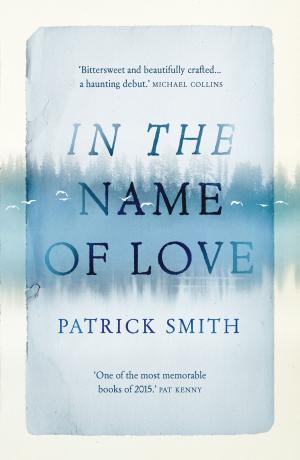 Cover of the book In the Name of Love by Steve Cole