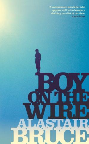 Book cover of Boy on the Wire