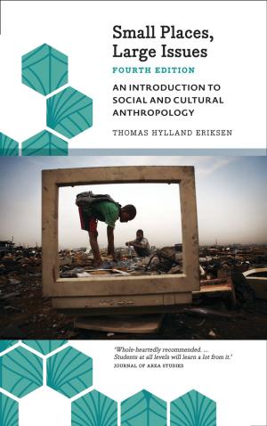 Cover of the book Small Places, Large Issues - Fourth Edition by Ercan Ayboga, Anja Flach, Michael Knapp