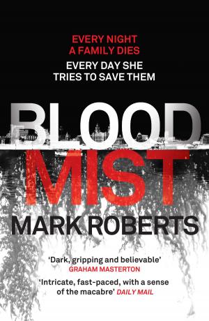 Cover of the book Blood Mist by Colin Bateman