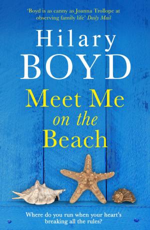 Cover of the book Meet Me on the Beach by Richard M. Restak
