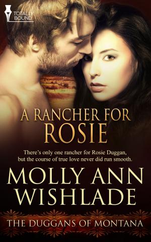 Cover of the book A Rancher for Rosie by Sean Michael