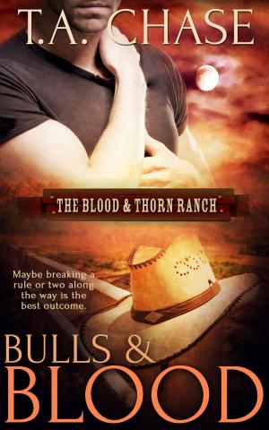 Cover of the book Bulls and Blood by Kim Dare