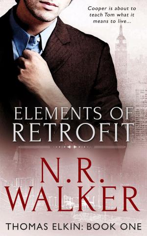 Cover of the book Elements of Retrofit by SJD Peterson