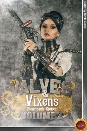 Cover of the book Valves & Vixens Volume 2 by Kieren Hawken