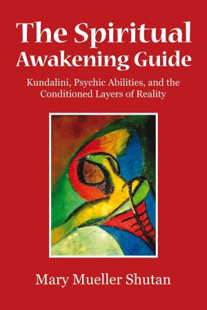 Book cover of The Spiritual Awakening Guide
