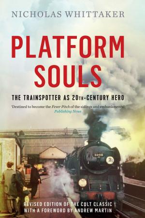 Cover of the book Platform Souls by Gill Garratt