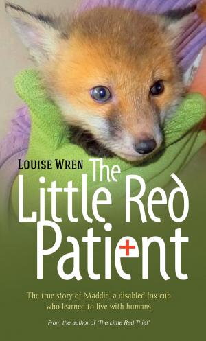 Cover of the book The Little Red Patient by Robert Smith