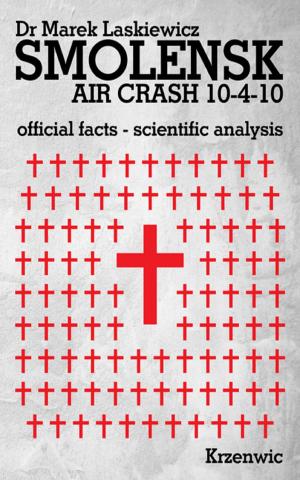 Cover of Smolensk Air Crash 10-4-10