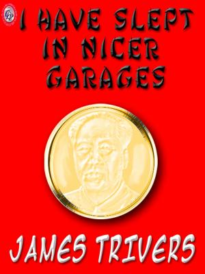 Cover of the book I HAVE SLEPT IN NICER GARAGES by W. Richard St. James