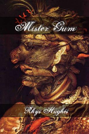 Book cover of Mister Gum