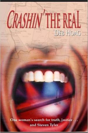 Cover of the book Crashin' the Real by Rhys Hughes