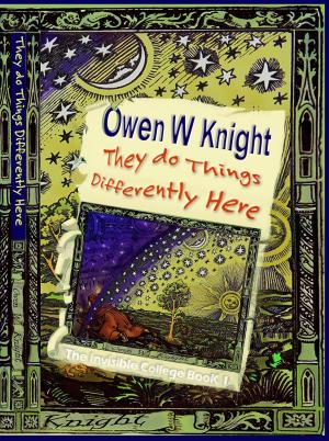 Cover of the book They do Things Differently Here by Owen W Knight