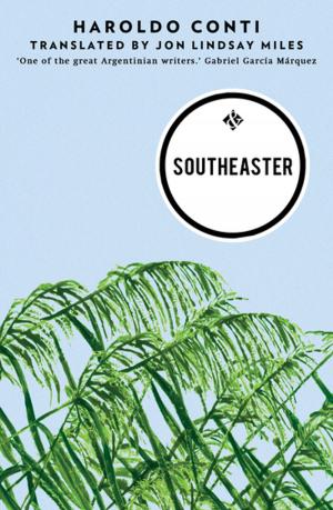 Cover of the book Southeaster by Lina Wolff