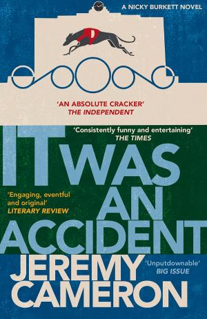 Cover of the book It Was An Accident by Ioana Visan