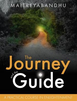 Book cover of Journey and the Guide