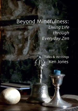 Cover of Beyond Mindfulness