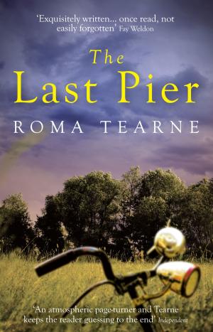 Cover of the book The Last Pier by Antoine Laurain