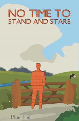 Cover of the book No Time To Stand And Stare by Louise Allen