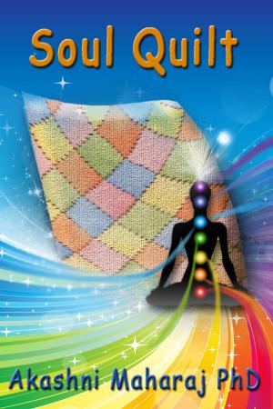 Cover of the book Soul Quilt by Nadine May