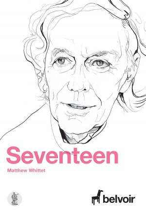 Cover of the book Seventeen by Ross Mueller