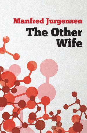 Book cover of The Other Wife