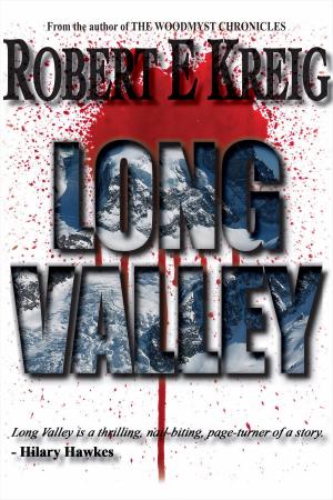 Cover of the book Long Valley by Ava Pashley