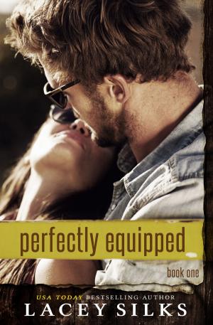 Book cover of Perfectly Equipped