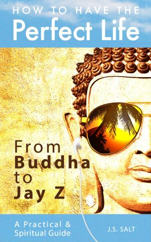 Cover of the book How To Have The Perfect Life: From Buddha to Jay Z by Nathalie Plamondon-Thomas