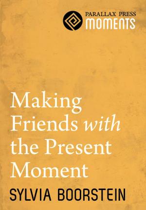 Cover of the book Making Friends with the Present Moment by Thich Nhat Hanh, Katherine Weare