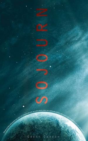 Cover of the book Sojourn by Elizabeth Jeannel