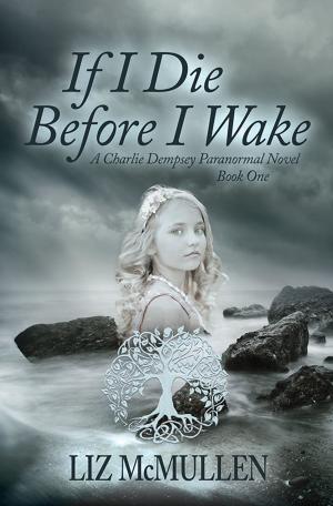 Cover of the book If I Die Before I Wake by Barrett Magill