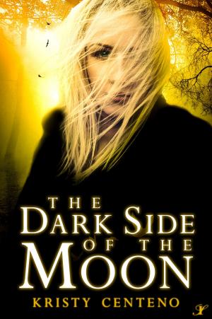 Cover of the book The Dark Side of the Moon by S.E. Harmon
