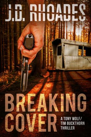 Book cover of Breaking Cover