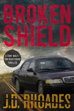 Cover of the book Broken Shield by Alex Segura, Dave White
