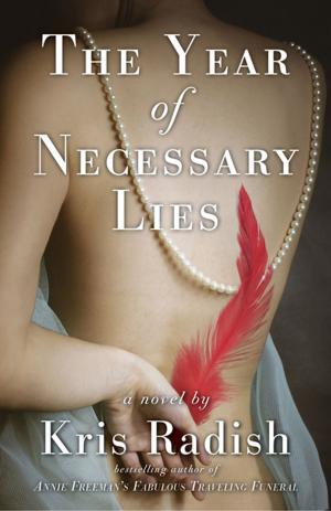 Cover of the book The Year of Necessary Lies by Kristin Kaye