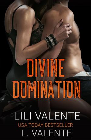 Book cover of Divine Domination
