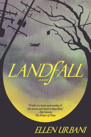 Cover of the book Landfall by Fred Rendon, Jr.